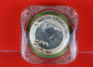 Glass Gambling Paperweight Cawston Ostrich Farm With Dice