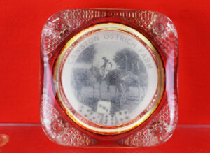 Cawston Ostrich Farm Gambling Glass Paperweight California